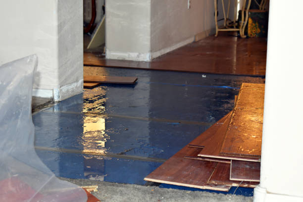 Professional Water Damage Restoration technician working in Albin, WY